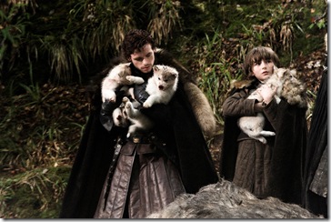 robb-bran-direwolves